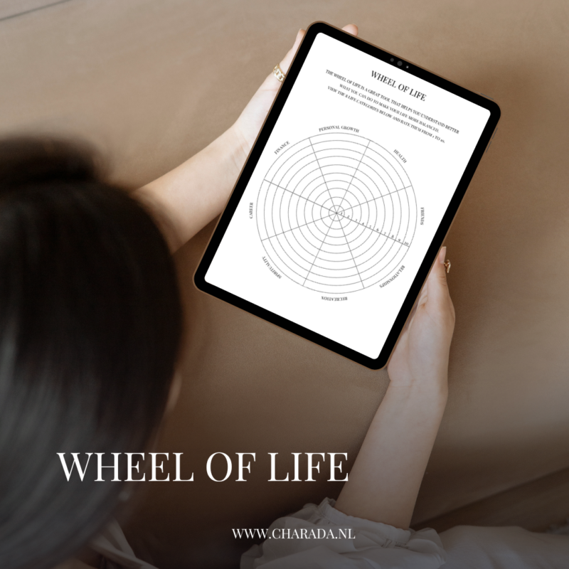 The Wheel of Life, gebruik jij deze krachtige visualisatietool al?