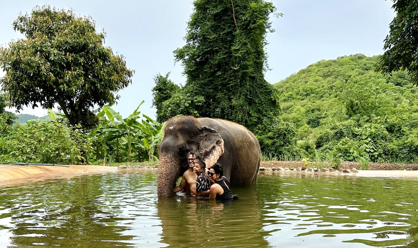 Olifanten reddingscentrum in Pattaya, Thailand. Een avontuurlijk uitje met het gezin